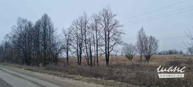 Земельный участок 1440 соток Щекино - изображение 8