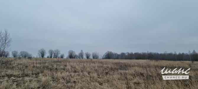 Земельный участок 888 соток Щекино - изображение 4