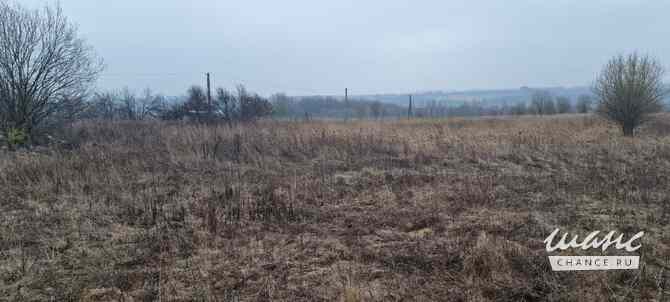 Земельный участок 888 соток Щекино - изображение 6