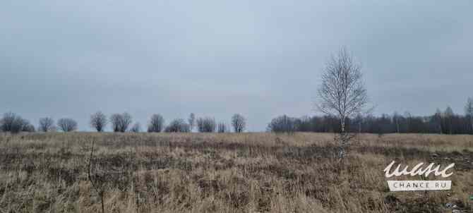 Земельный участок 888 соток Щекино - изображение 5