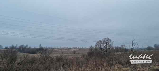 Земельный участок 888 соток Щекино - изображение 1