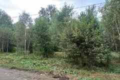 Земельный участок 11 соток, ИЖС, Соузгинская улица