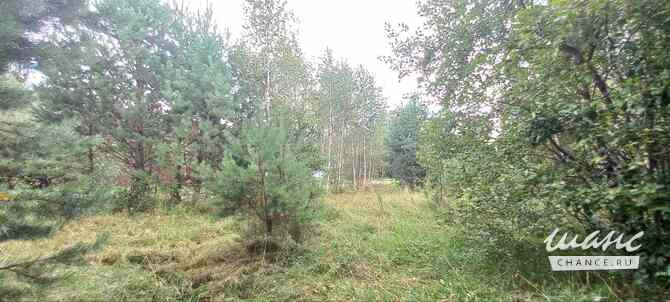 Земельный участок 11 соток, ИЖС, Соузгинская улица Москва - изображение 8