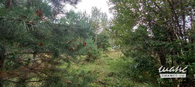 Земельный участок 11 соток, ИЖС, Соузгинская улица Москва - изображение 10