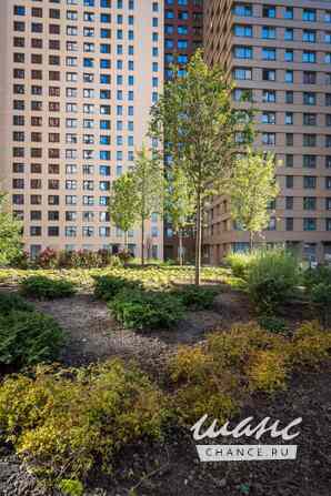 Сдам в аренду гараж 13.3 м Москва - изображение 6