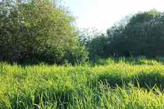 Продам земельный участок 5,96 соток, другое, Гатчина