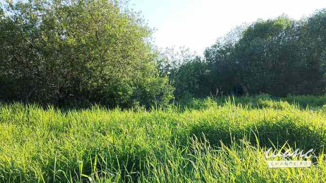 Продам земельный участок 5,96 соток, другое, Гатчина Гатчина - изображение 1