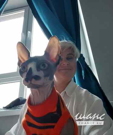 Зоопсихолог. Фелинолог. Кинолог. Онлайн Екатеринбург - изображение 5