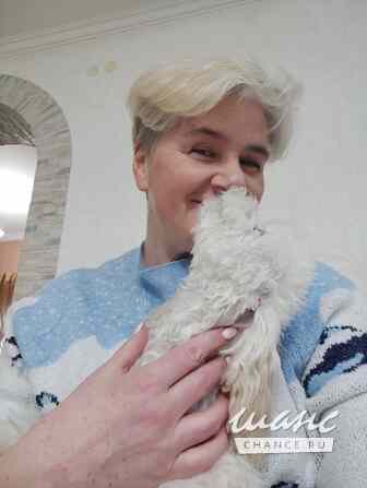 Зоопсихолог. Фелинолог. Кинолог. Онлайн Екатеринбург - изображение 7