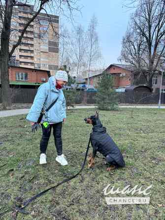 Зоопсихолог. Фелинолог. Кинолог. Онлайн Екатеринбург - изображение 2