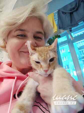 Зоопсихолог. Фелинолог. Кинолог. Онлайн Екатеринбург - изображение 3