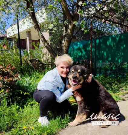 Зоопсихолог. Фелинолог. Кинолог. Онлайн Екатеринбург - изображение 10