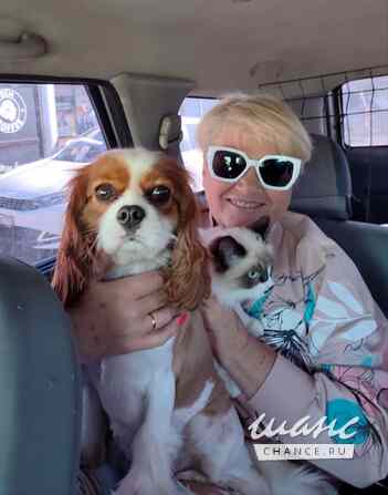 Зоопсихолог. Фелинолог. Кинолог. Онлайн Екатеринбург - изображение 6