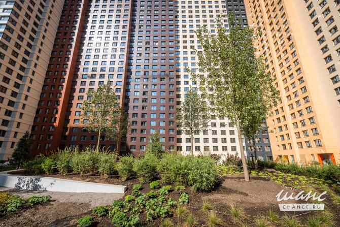 Сдам в аренду гараж 15.5 м Москва - изображение 4