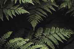 Требуется инженер сервисного центра в сфере IT, телекоммуникации, связь, электроника