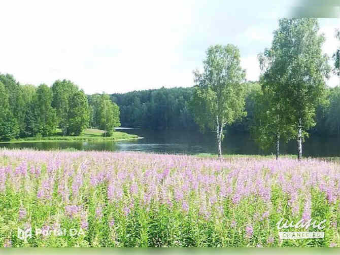 Земельный участок 2400 соток Рославль - изображение 2