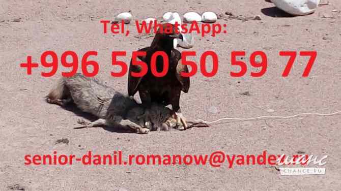 Guide, chauffeur au Kyrgyzstan, tourism, voyages, excursions, balades aux montagnes Санкт-Петербург - изображение 4