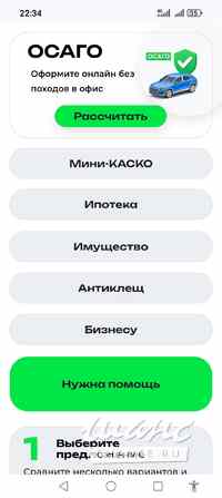 Выездное и онлайн страхование (все виды) Санкт-Петербург - изображение 2