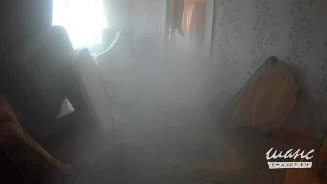 Проводим уничтожение клопов и тараканов холодным паром с первого раза! Орел - изображение 6