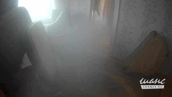 Проводим уничтожение клопов и тараканов холодным паром с первого раза! Орел - изображение 8