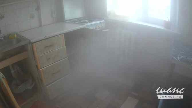 Проводим уничтожение клопов и тараканов холодным паром с первого раза! Орел - изображение 3