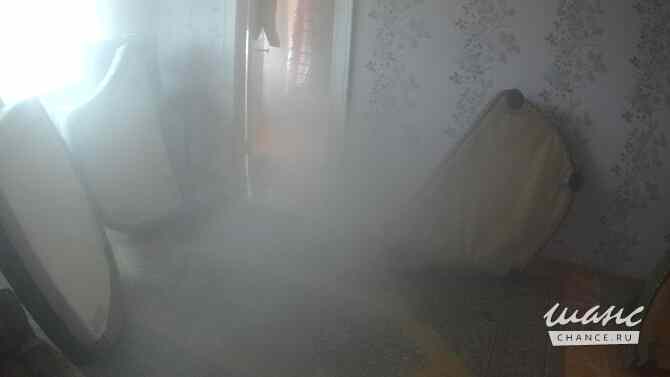 Проводим уничтожение клопов и тараканов холодным паром с первого раза! Орел - изображение 7