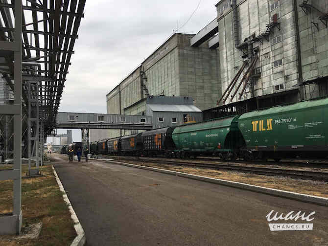 Высококачественное подсолнечное масло оптом от производителя Безенчук - изображение 2