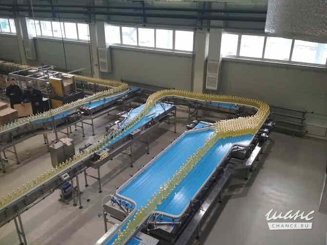 Высококачественное подсолнечное масло оптом от производителя Безенчук - изображение 3