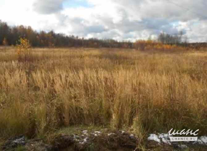 Земельный участок 9006 соток, Железнодорожник (Новохаритоновское с/п) садовое товарищество Москва - изображение 3