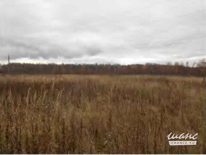 Земельный участок 708 соток, Железнодорожник (Новохаритоновское с/п) садовое товарищество Москва - изображение 1