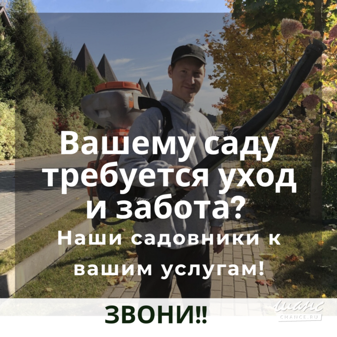 Садовник, Уход за садом. Услуги Садовника Москва - изображение 3
