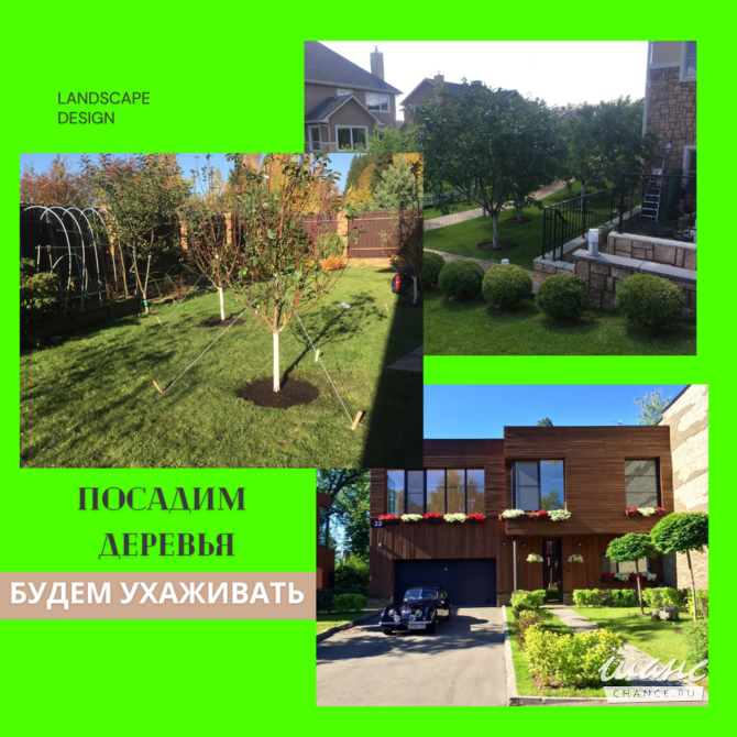 Садовник, Уход за садом. Услуги Садовника Москва - изображение 4