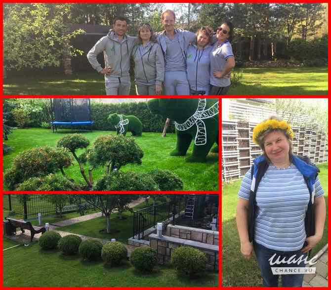 Садовник, Уход за садом. Услуги Садовника Москва - изображение 6