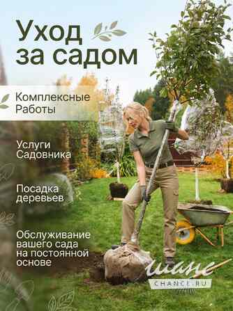 Садовник, Уход за садом. Услуги Садовника Москва - изображение 1