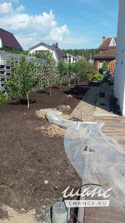 Обрезка плодовых деревьев Москва - изображение 5