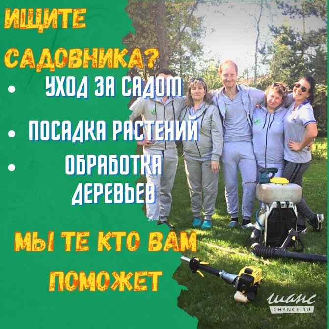 Обрезка плодовых деревьев Москва - изображение 3