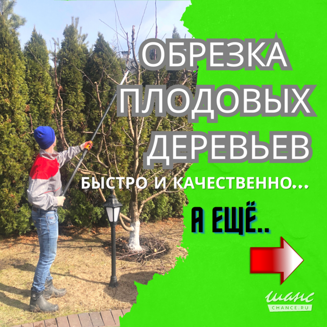 Обрезка плодовых деревьев Москва - изображение 1