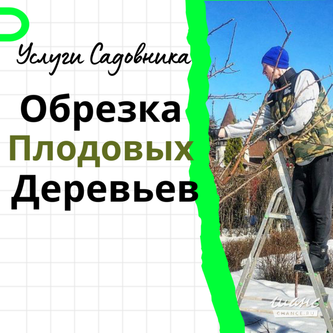 Обрезка плодовых деревьев Москва - изображение 4