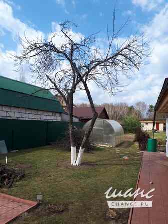 Обрезка плодовых деревьев Москва - изображение 10