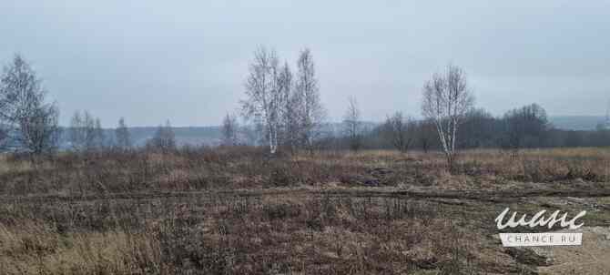 Земельный участок 1801 соток Щекино - изображение 4