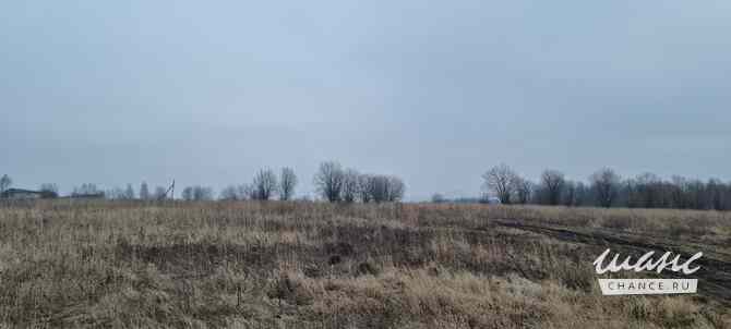 Земельный участок 1801 соток Щекино - изображение 3