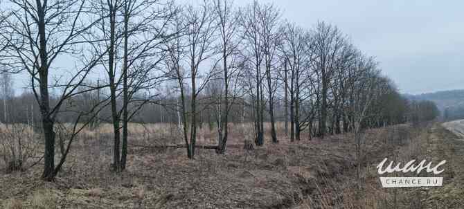 Земельный участок 1440 соток Щекино - изображение 5