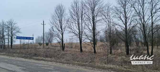 Земельный участок 1440 соток Щекино - изображение 3