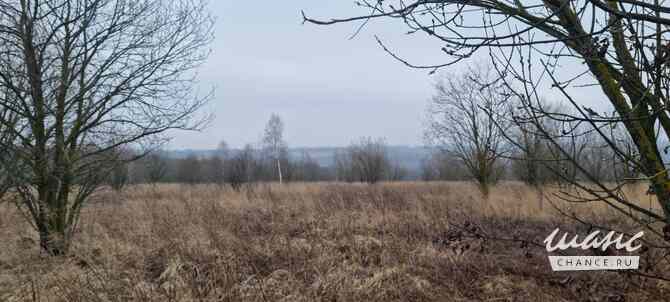 Земельный участок 1440 соток Щекино - изображение 6