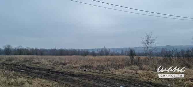 Земельный участок 888 соток Щекино - изображение 7