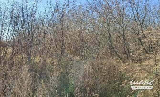 Земельный участок 128 соток, Совхоз Медведево территория Ижевск - изображение 7