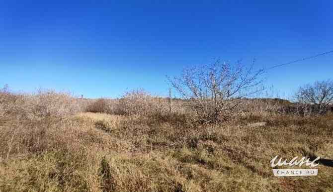 Земельный участок 128 соток, Совхоз Медведево территория Ижевск - изображение 9