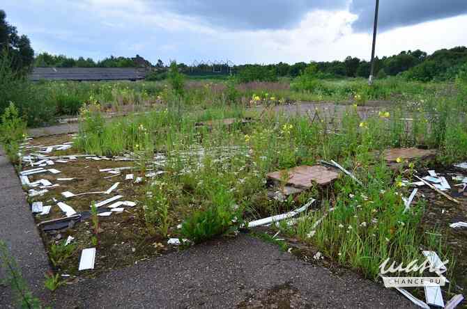 продажа - другое Смоленск - изображение 7