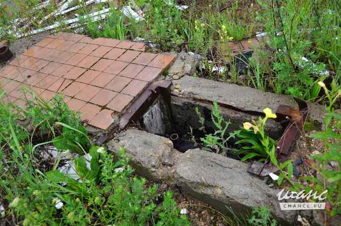 продажа - другое Смоленск - изображение 6