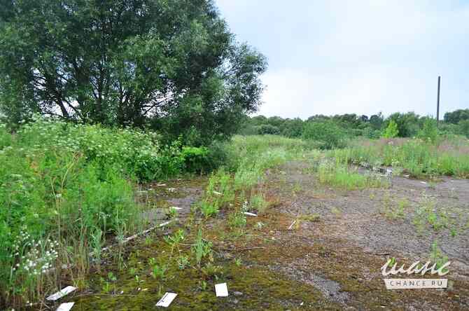 продажа - другое Смоленск - изображение 8